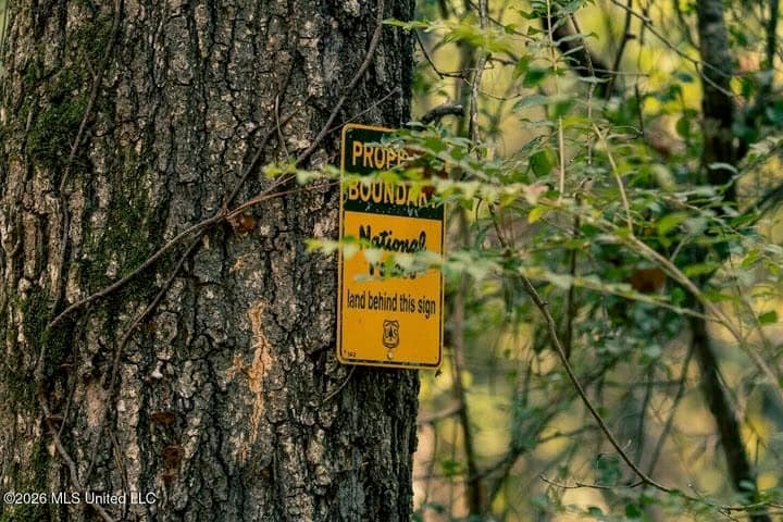 36± Acre Hunting Property Near Bude, MS