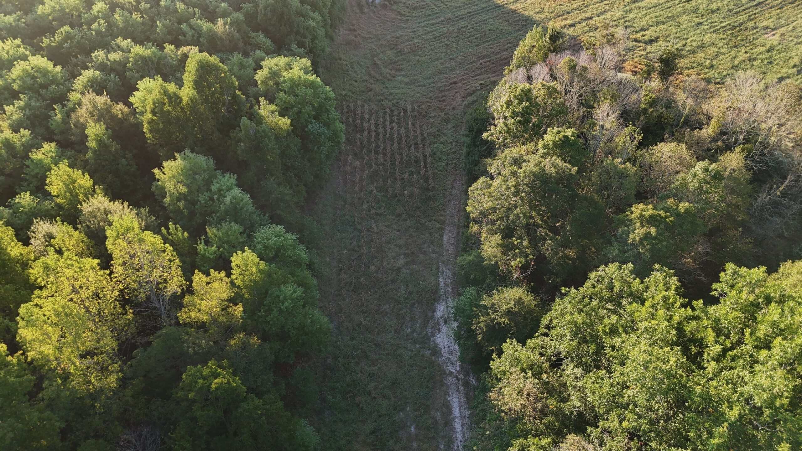 80 Ac Home, Hunting & Cattle Land in Franklin Parish LA