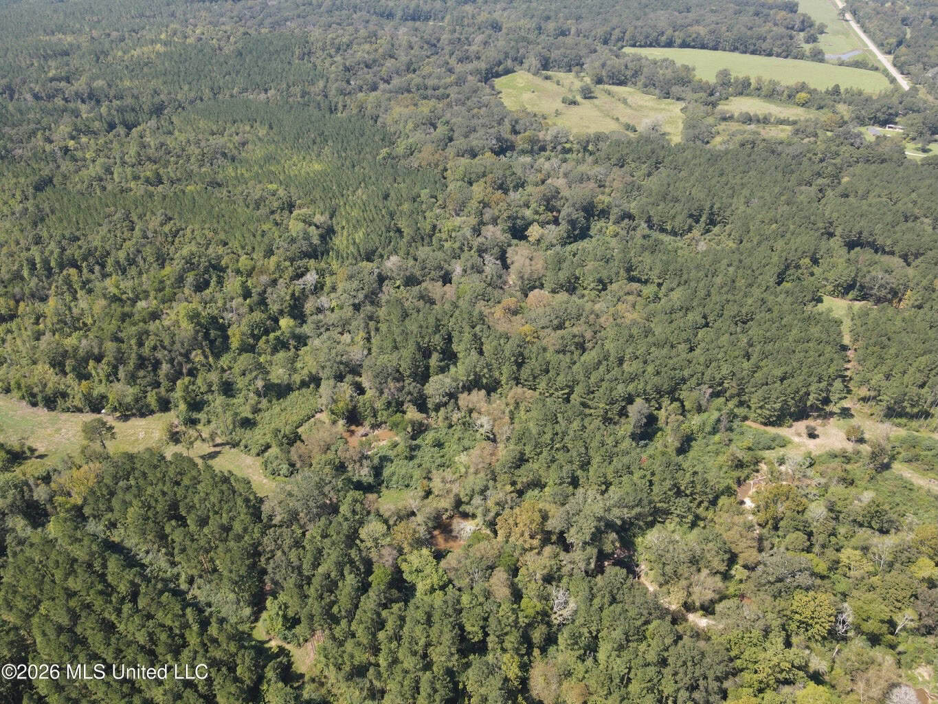 76 Acres of Hunting Land in Raleigh, MS, Smith County