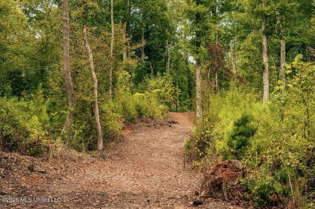 58± Acre Hunting Property in Franklin County, MS