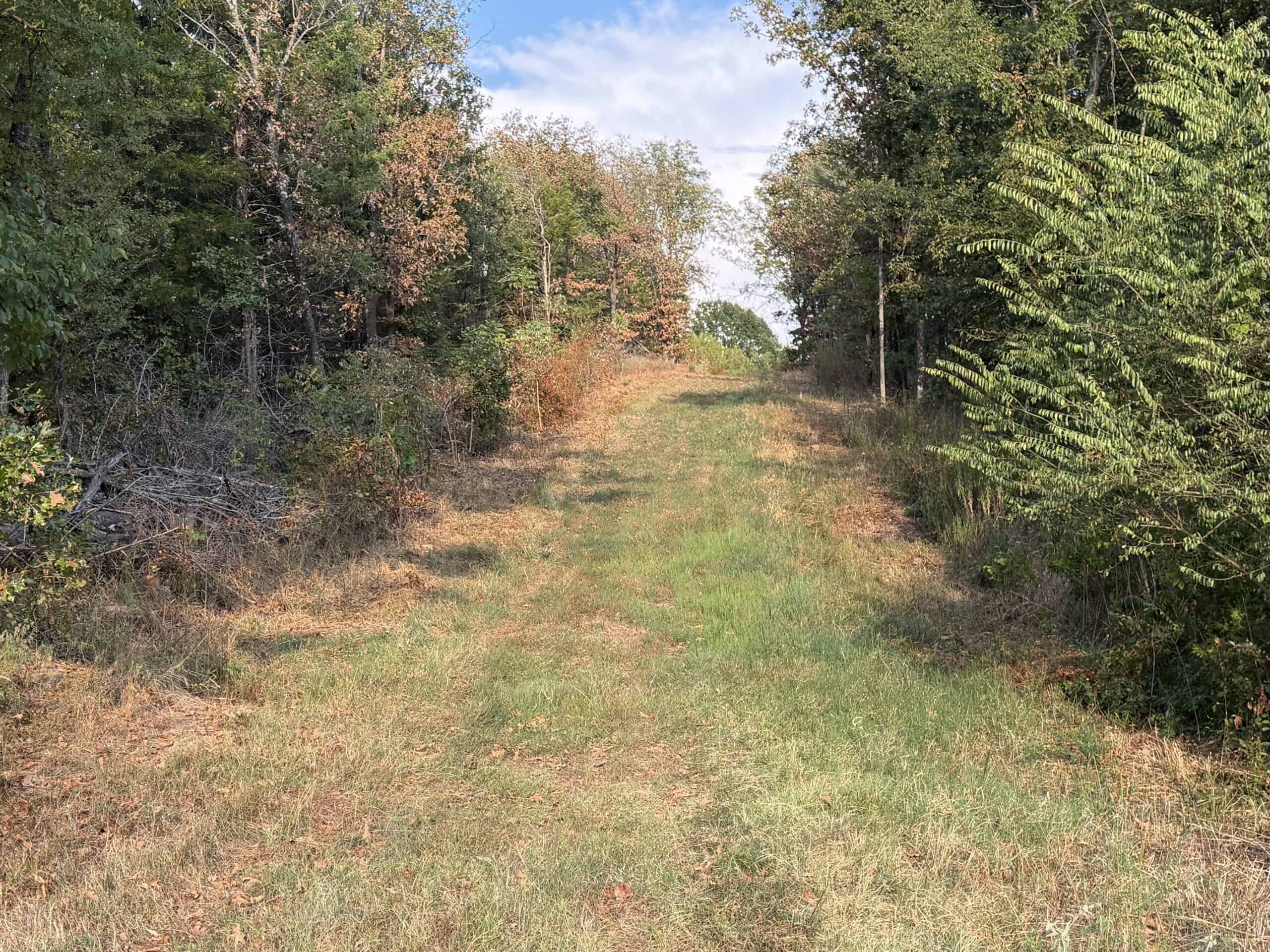 82.61-Acre Hunter’s Retreat with Stocked Lake & Barndominium