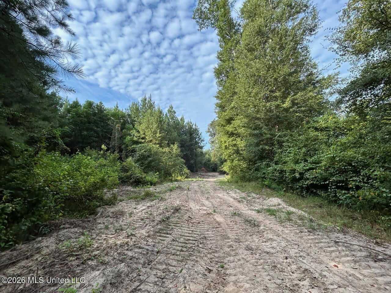 80± Acre Riverfront Hunting Land Near Meadville, MS