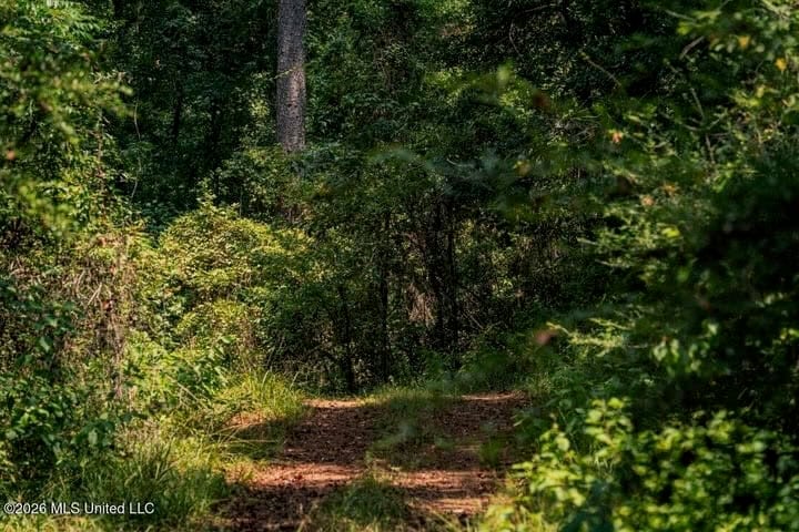 36± Acre Hunting Property Near Bude, MS
