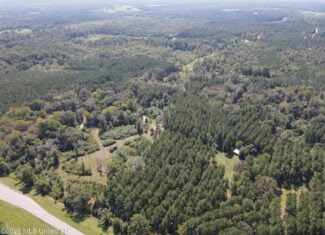76 Acres of Hunting Land in Raleigh, MS, Smith County
