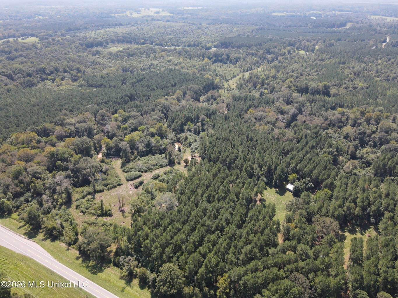 76 Acres of Hunting Land in Raleigh, MS, Smith County