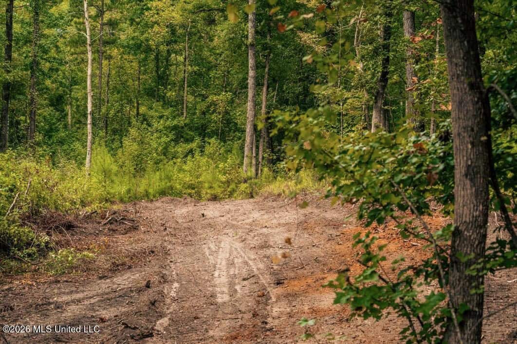 58± Acre Hunting Property in Franklin County, MS