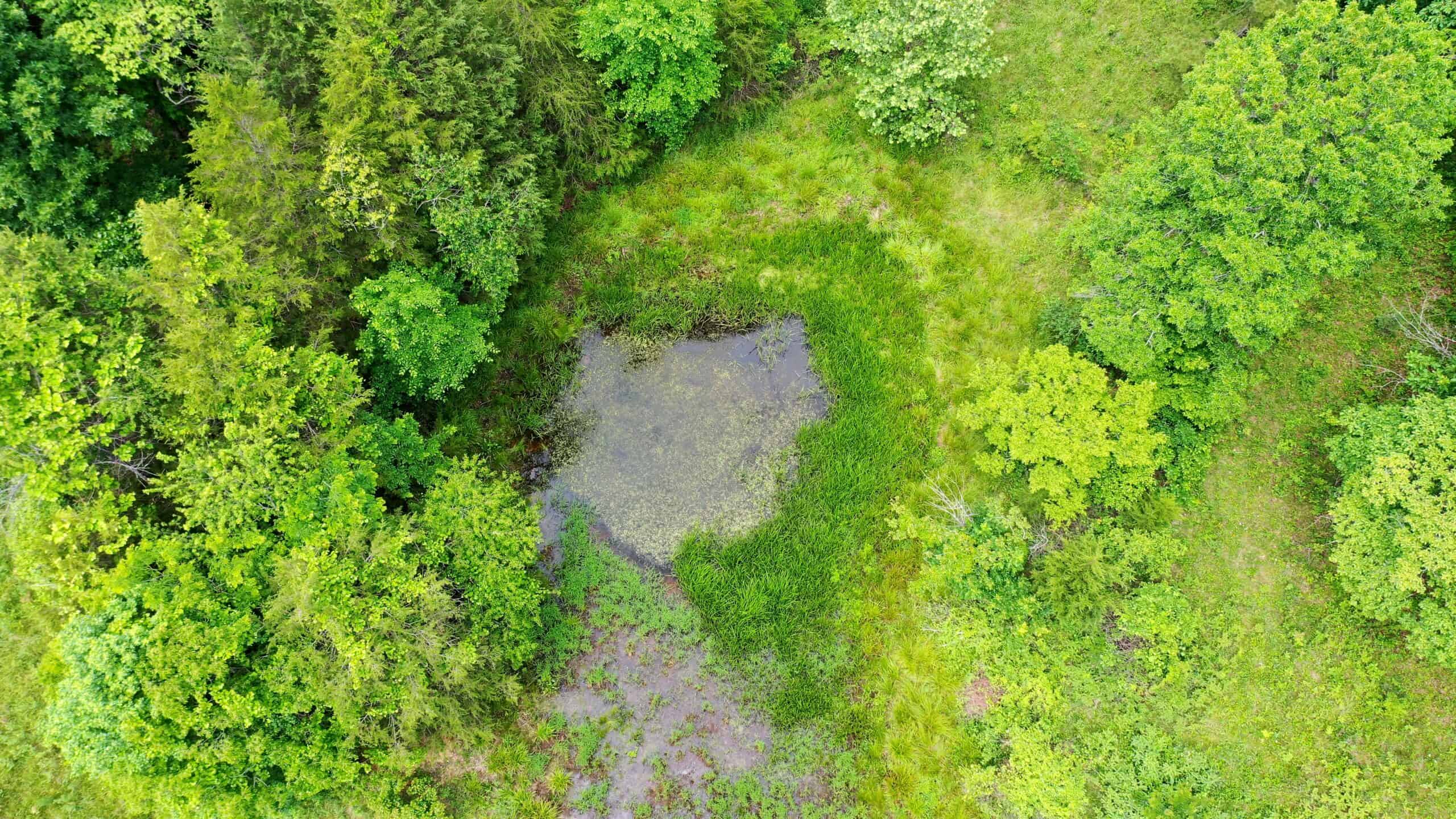 473 ± Acre Ozark Farm for Sale Near Salem, Missouri