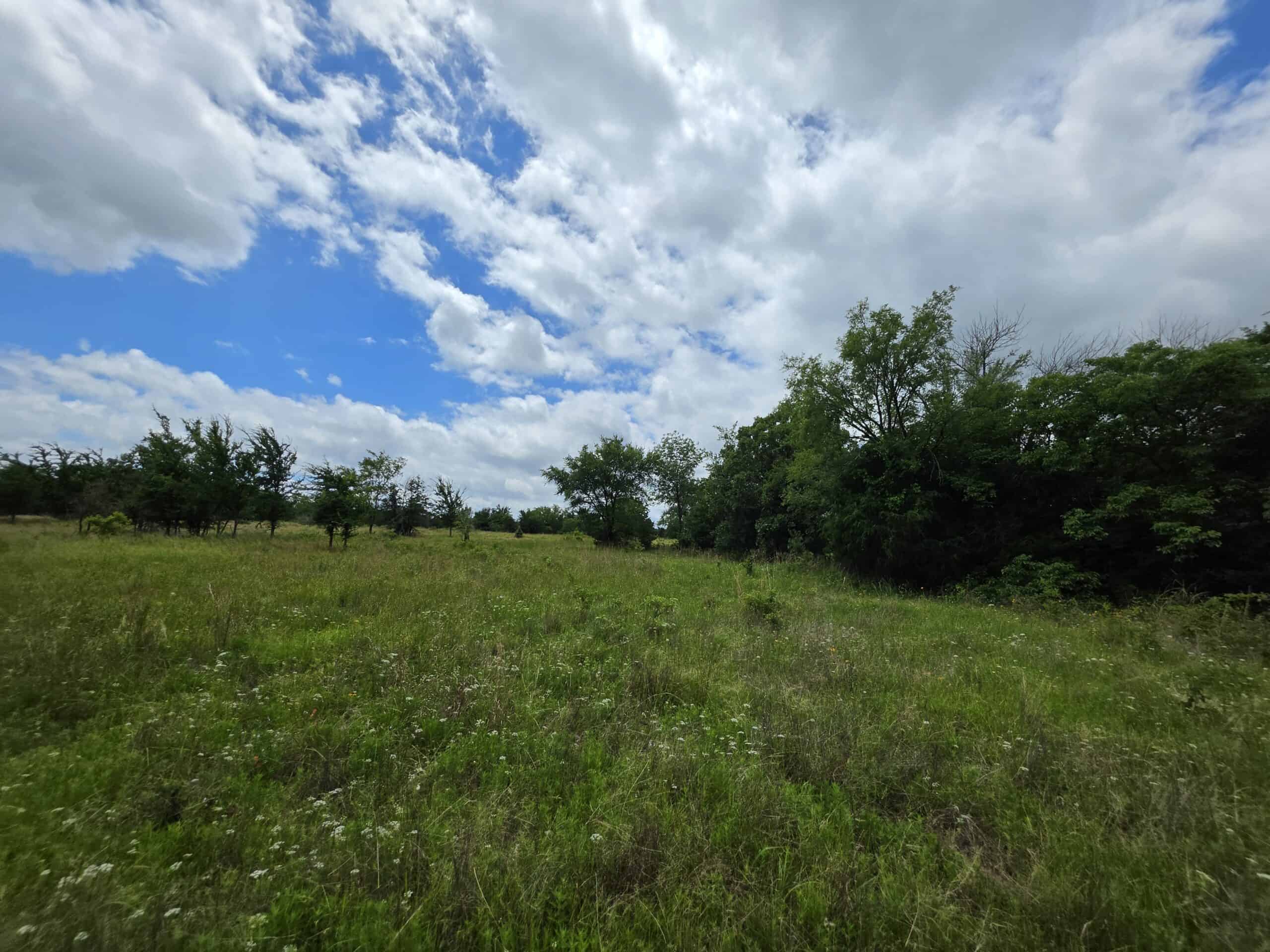 104± Acres of Whitetail Hunting, Hardwood Timber & Fishing Ponds in SE Oklahoma