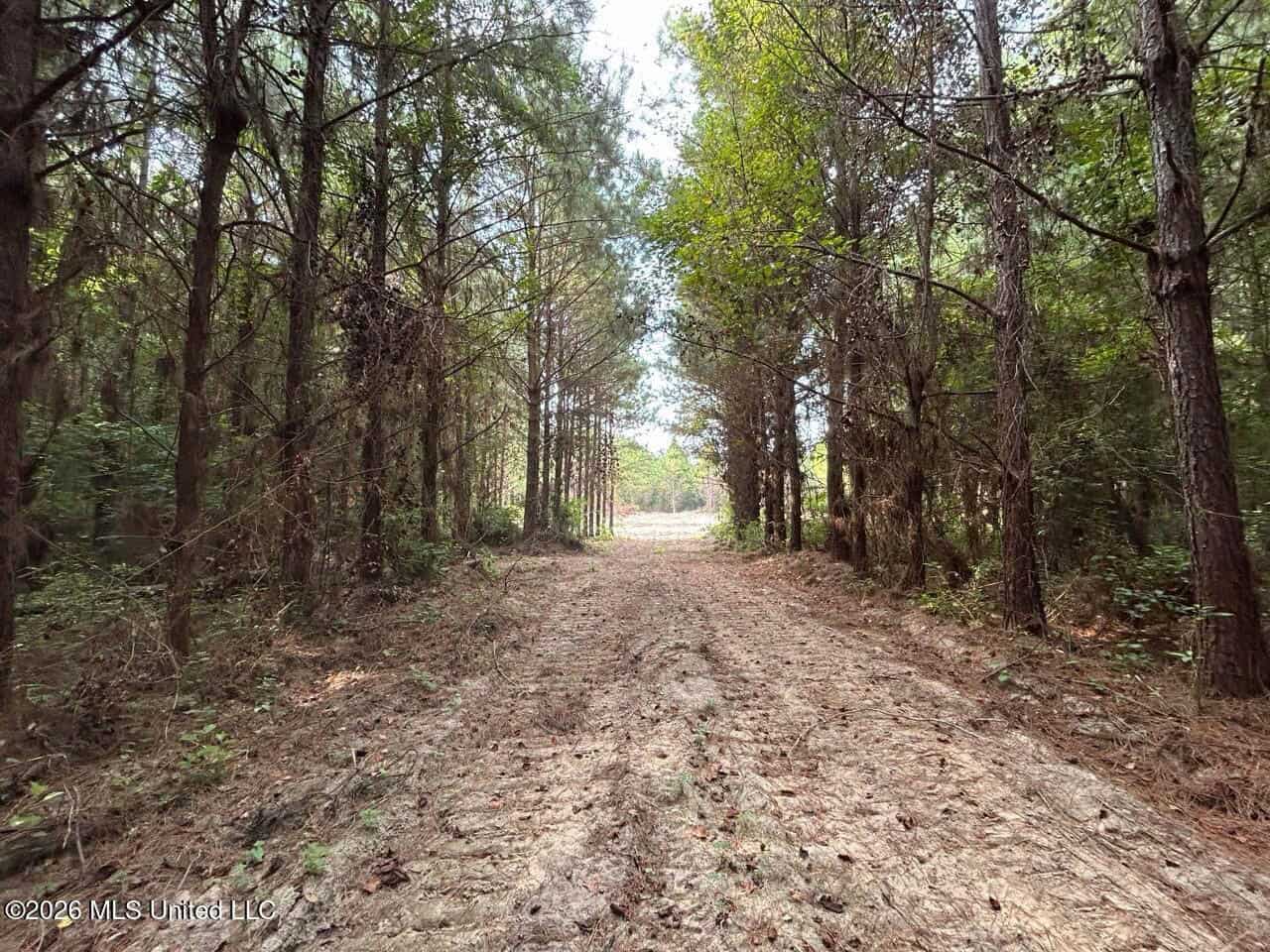 80± Acre Riverfront Hunting Land Near Meadville, MS