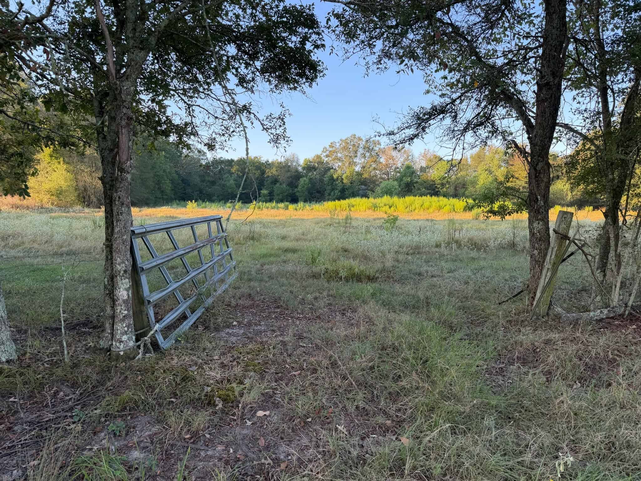 80 Ac Home, Hunting & Cattle Land in Franklin Parish LA
