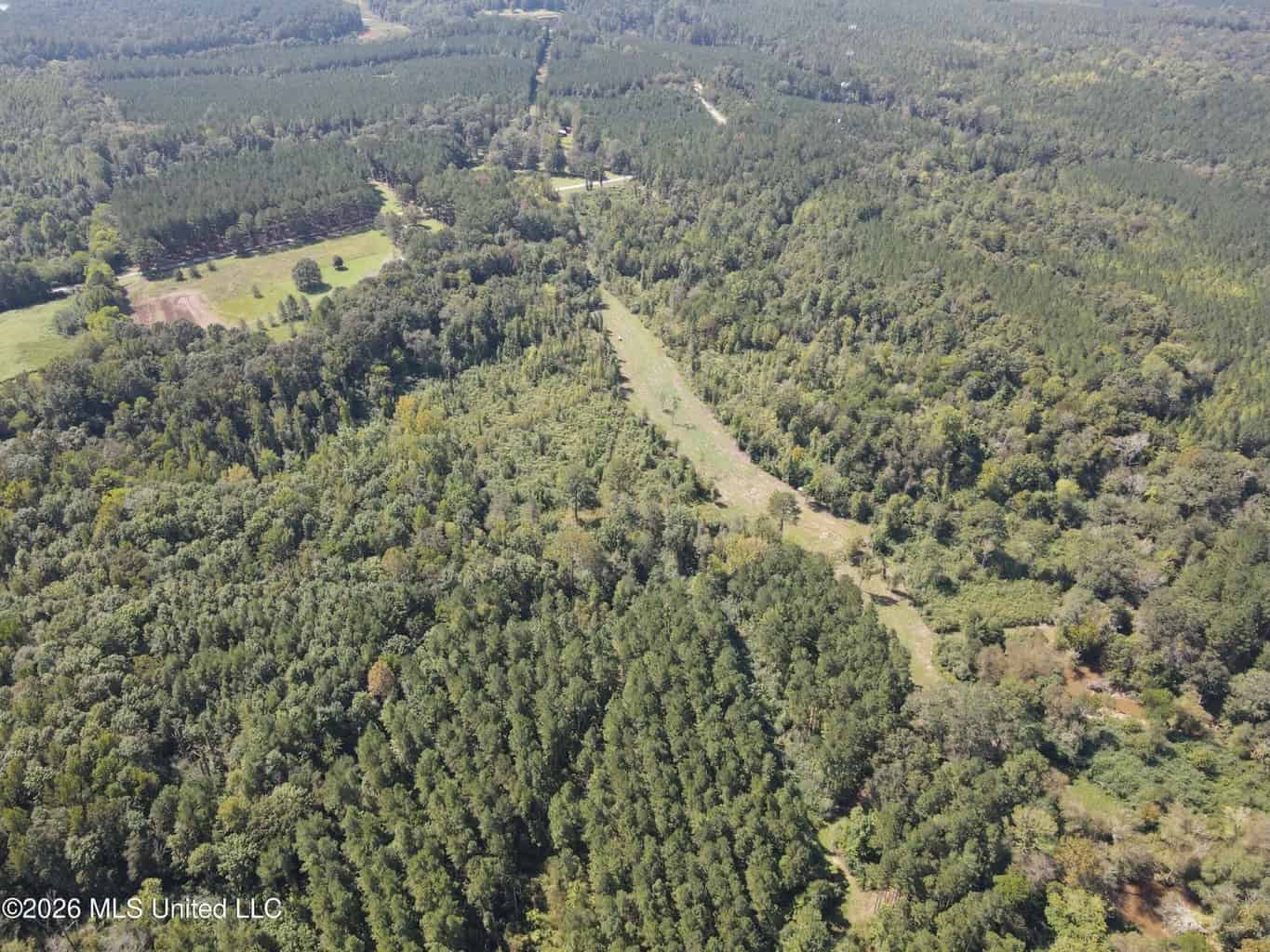 76 Acres of Hunting Land in Raleigh, MS, Smith County