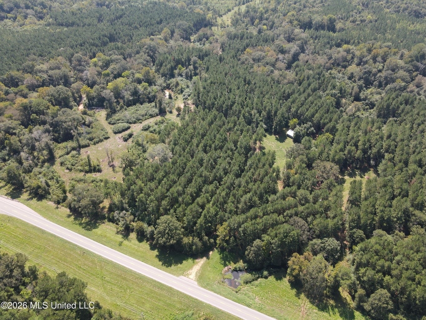 52 Acres Hunting & Timberland in Raleigh, MS