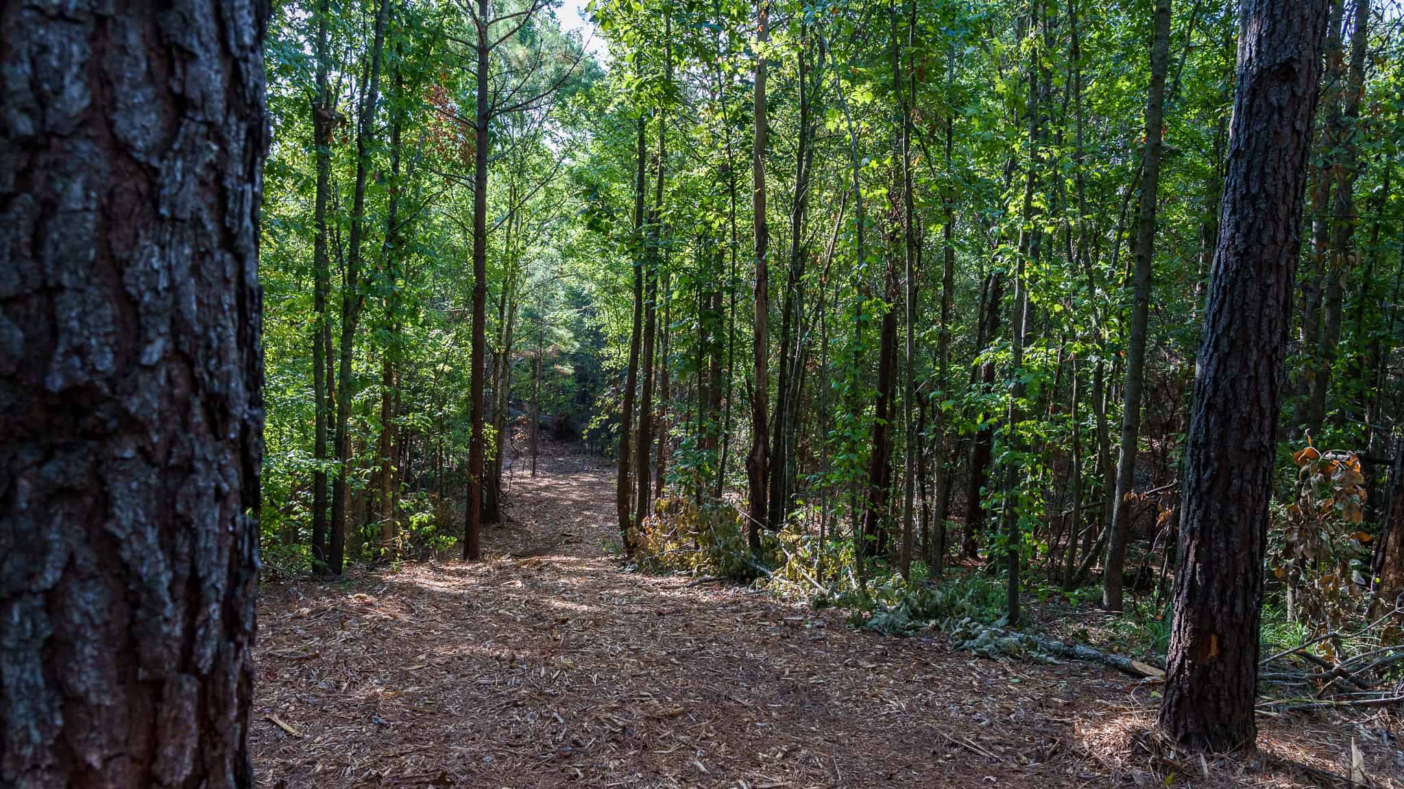 Tyler Texas Hunting Property for Sale 141 ± Acres East of Dallas