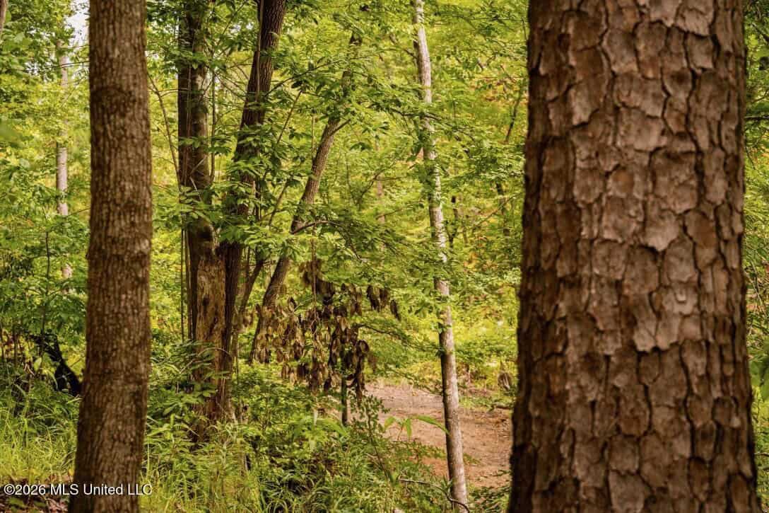 58± Acre Hunting Property in Franklin County, MS