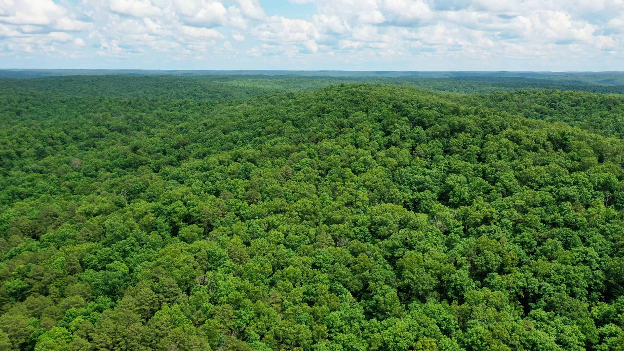 473 ± Acre Ozark Farm for Sale Near Salem, Missouri