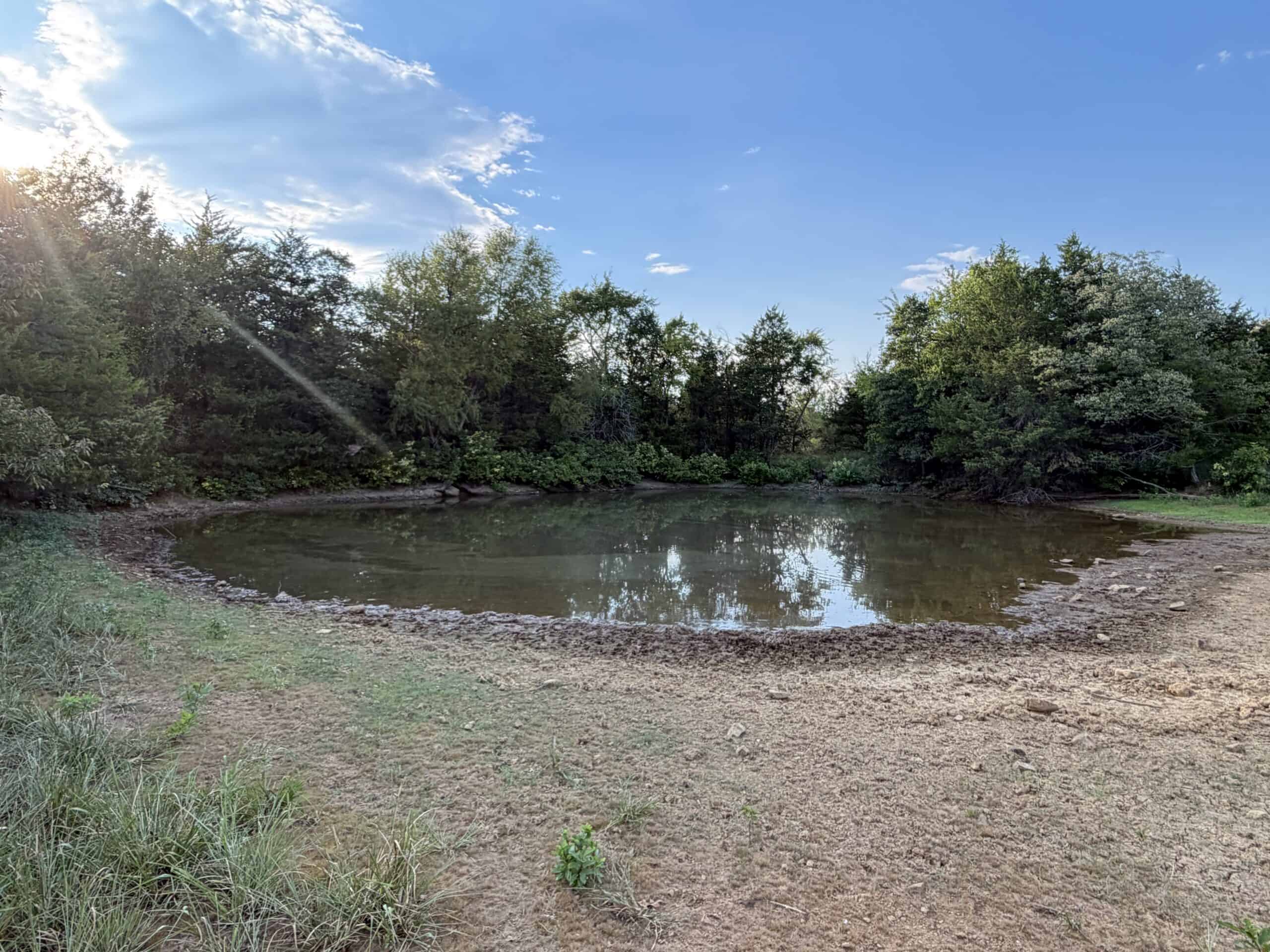 82.61-Acre Hunter’s Retreat with Stocked Lake & Barndominium