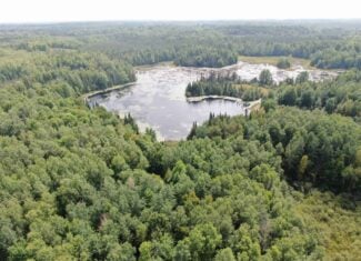 37.5± Acres with Off-Grid Cabin – Taylor County, Wisconsin