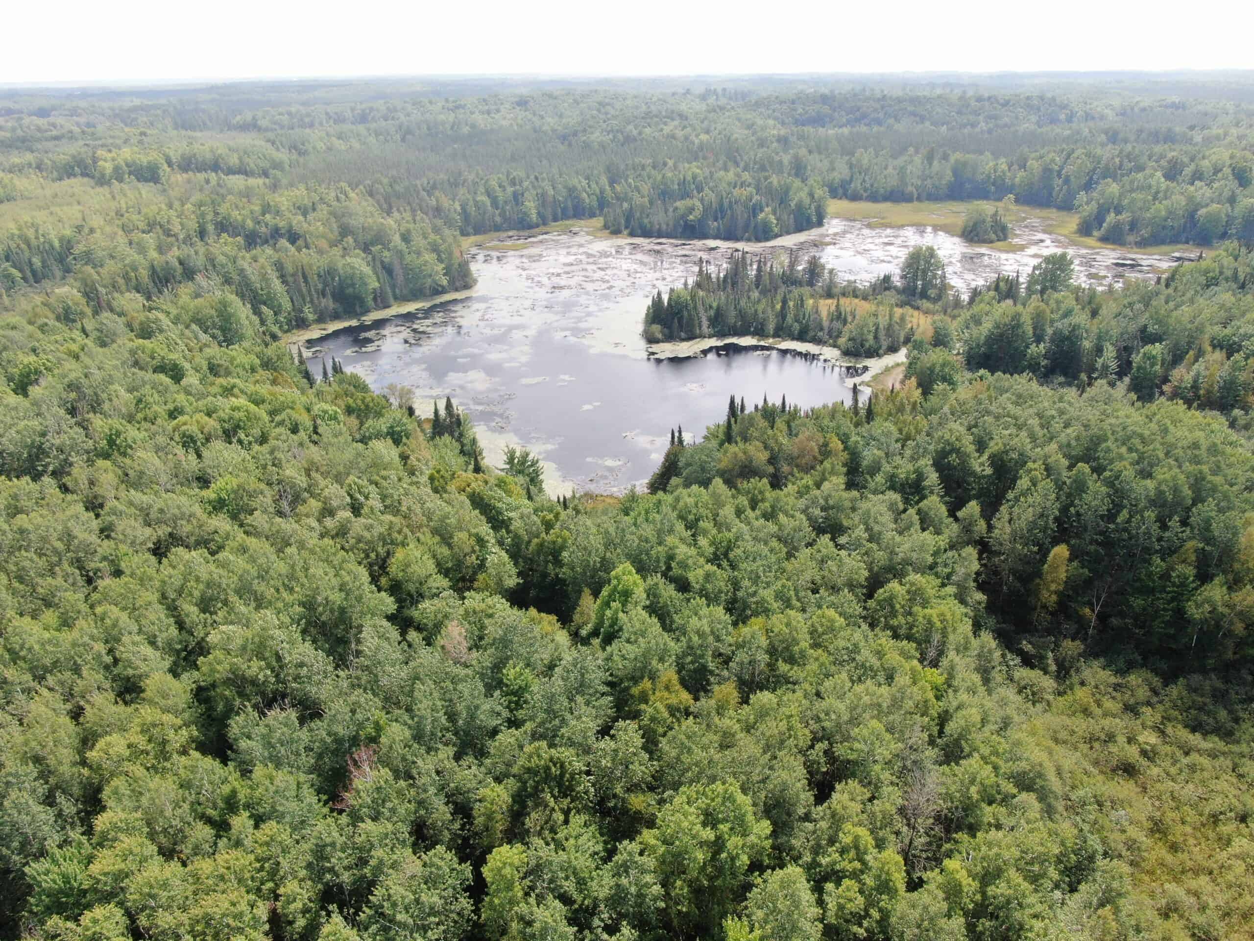 37.5± Acres with Off-Grid Cabin – Taylor County, Wisconsin