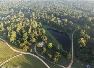 210+/- Acres and Cabin in Franklin County, MS