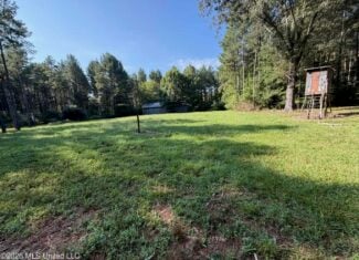 76 Acres of Hunting Land in Raleigh, MS, Smith County