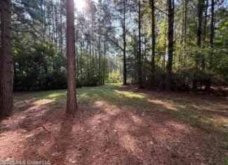52 Acres Hunting & Timberland in Raleigh, MS