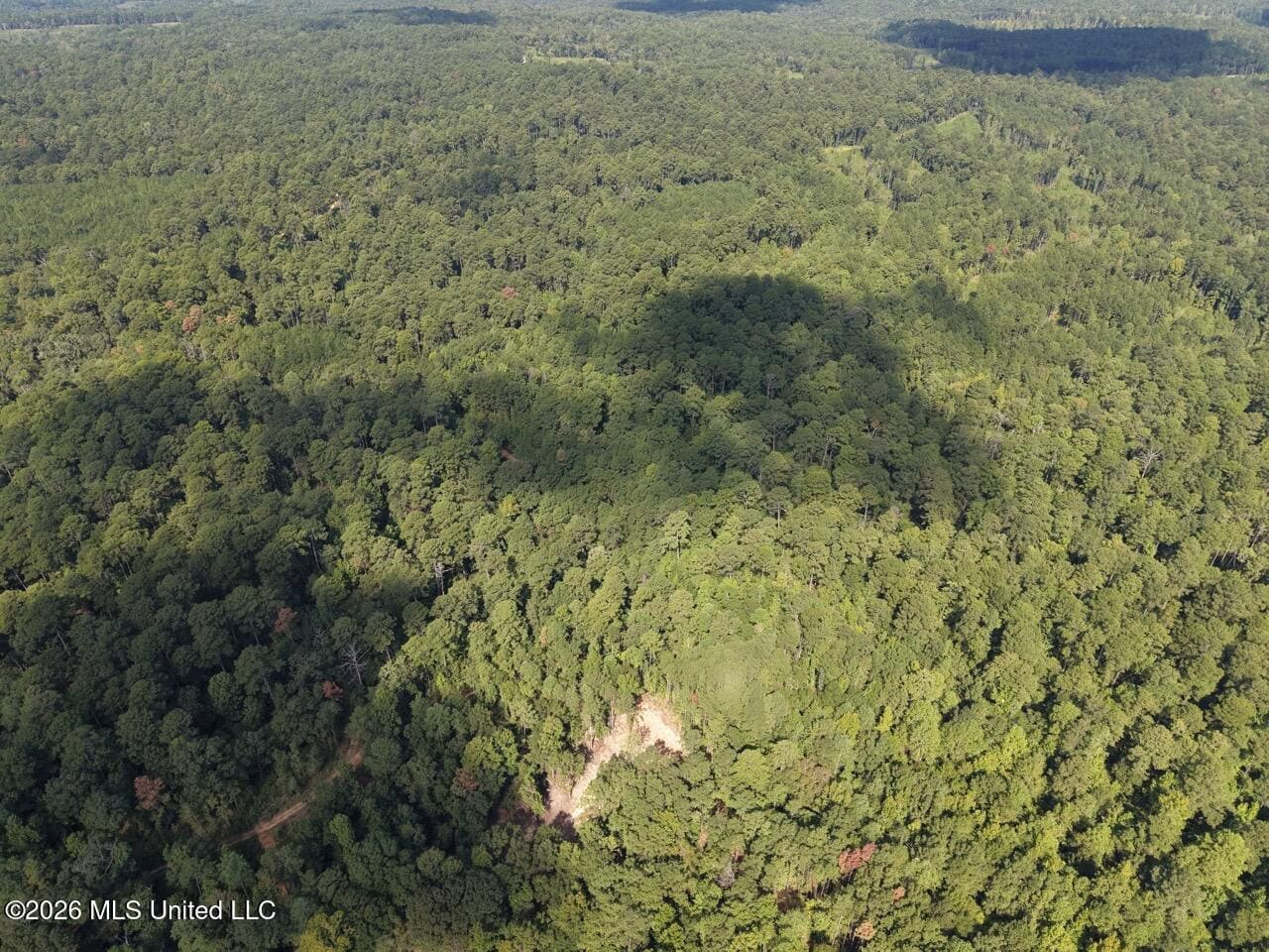 45± Acre Hunting Property in Franklin County, MS