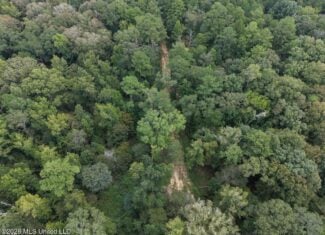 200± Acre Hunting Property in Jefferson County, MS