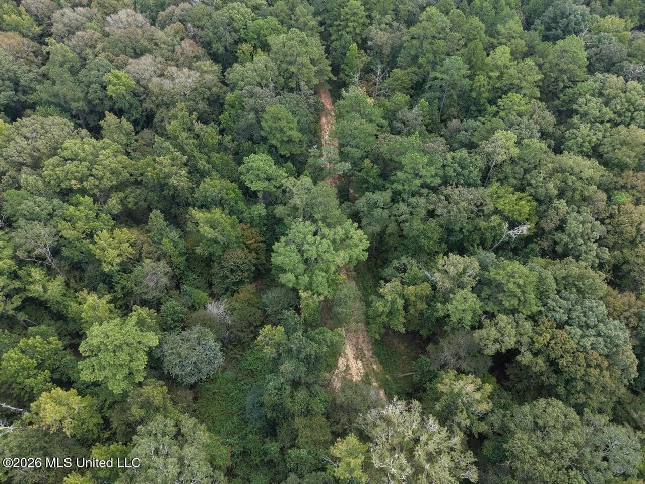 200± Acre Hunting Property in Jefferson County, MS
