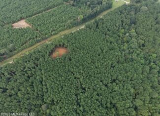 25± Acre Hunting & Homesite Tract in Centreville, MS
