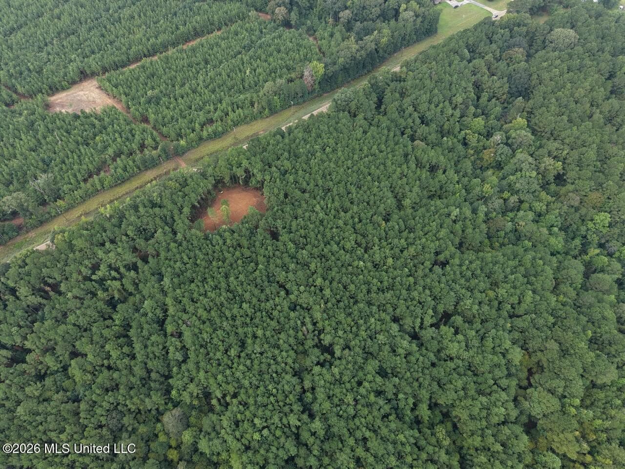25± Acre Hunting & Homesite Tract in Centreville, MS