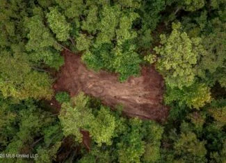 13± Acres by Homochitto National Forest Near Meadville, MS