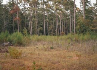 Affordable Union Parish Land for Sale