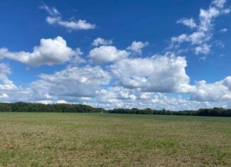 Farmland with great Deer and Turkey Hunting in Tennessee