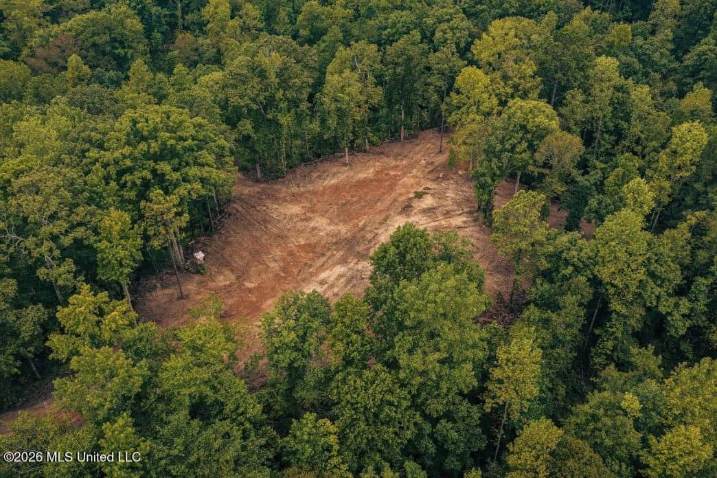 58± Acre Hunting Property in Franklin County, MS