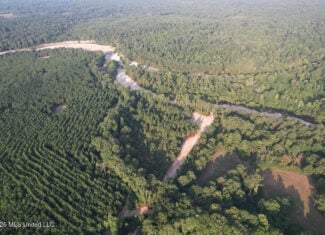 80± Acre Riverfront Hunting Land Near Meadville, MS