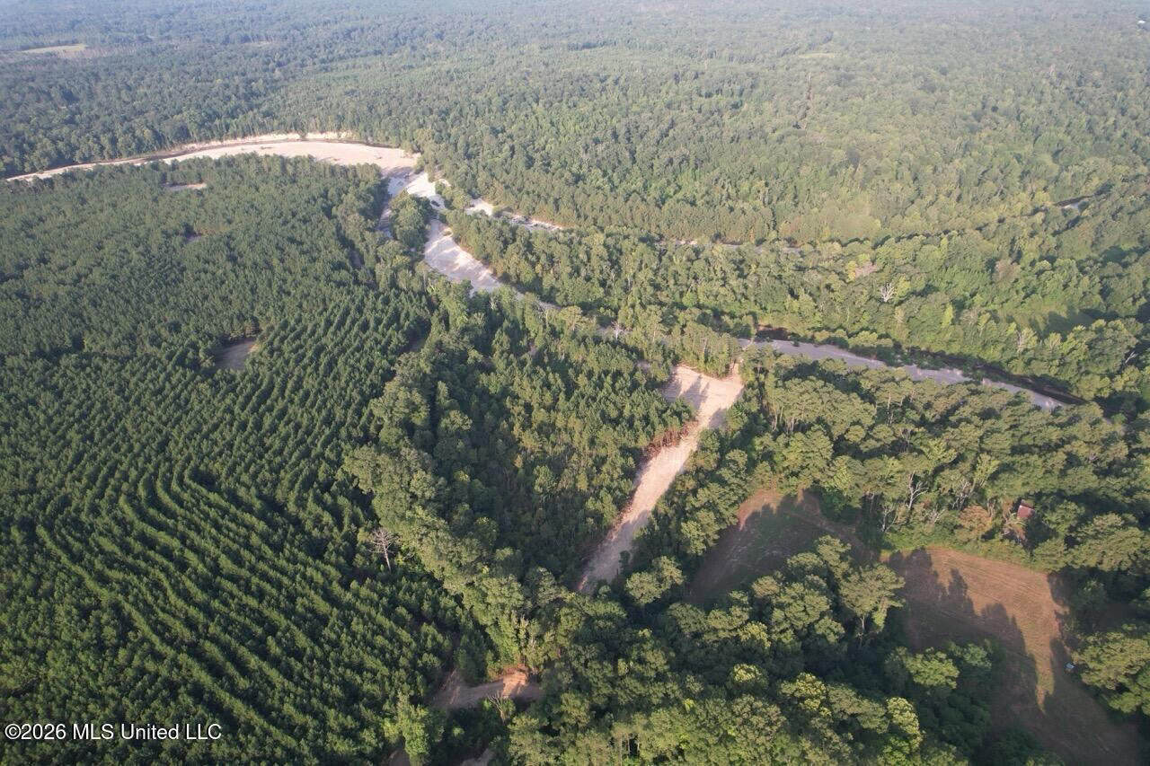 80± Acre Riverfront Hunting Land Near Meadville, MS