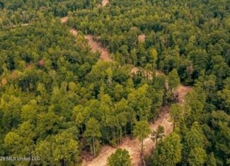 36± Acre Hunting Property Near Bude, MS