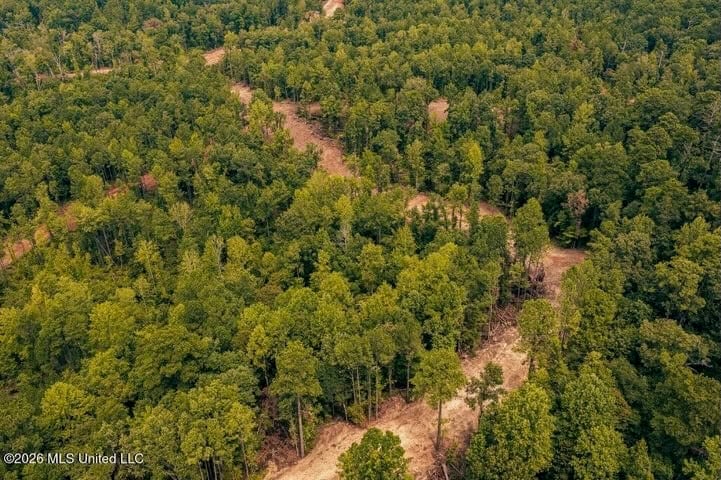 36± Acre Hunting Property Near Bude, MS
