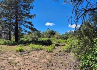 Colorado Hunting Land For Sale