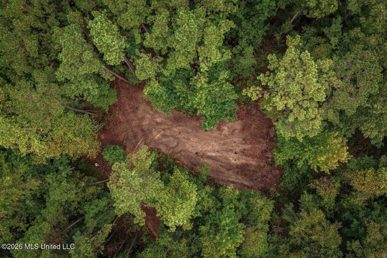 13± Acres by Homochitto National Forest Near Meadville, MS
