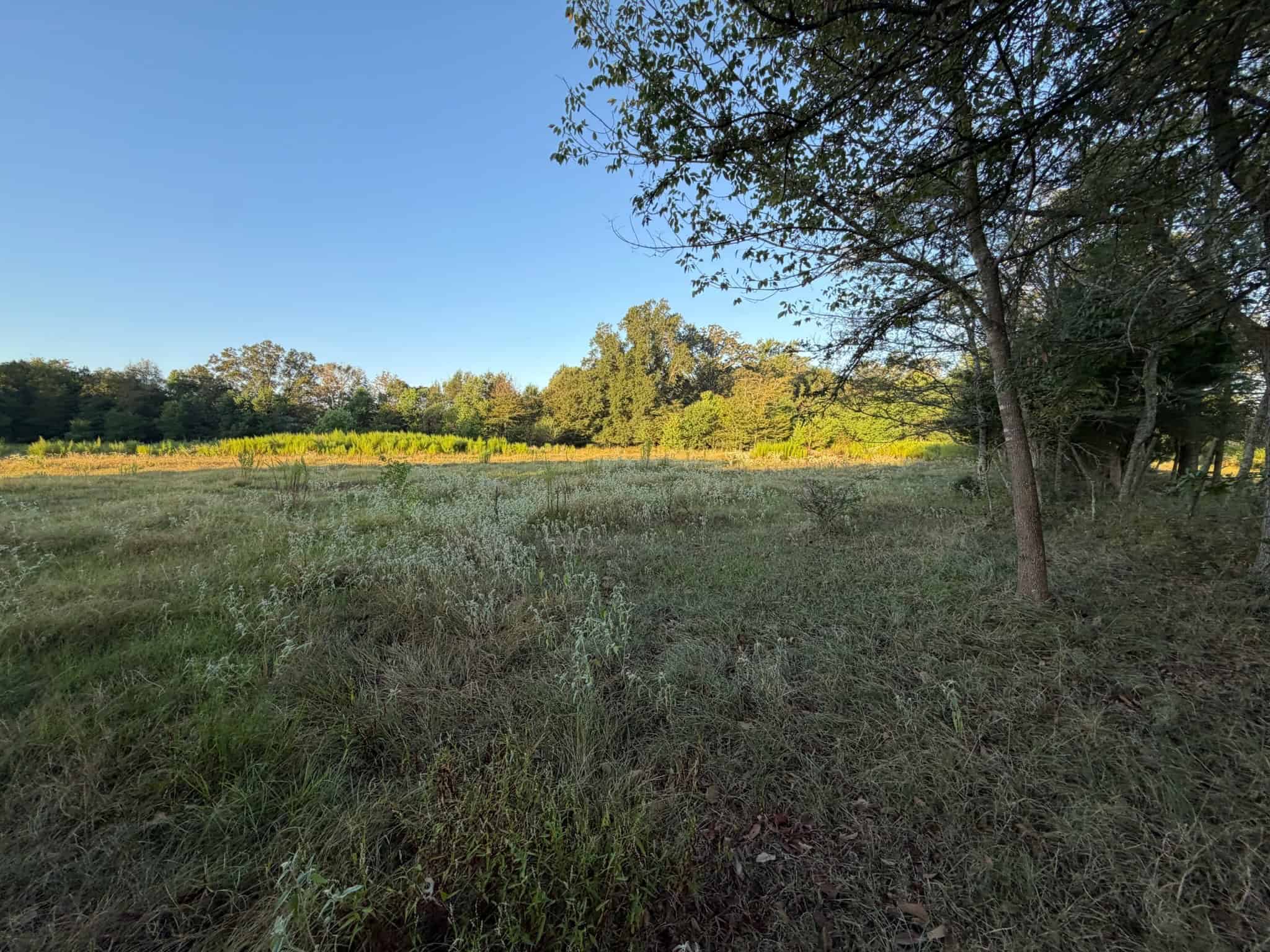 80 Ac Home, Hunting & Cattle Land in Franklin Parish LA
