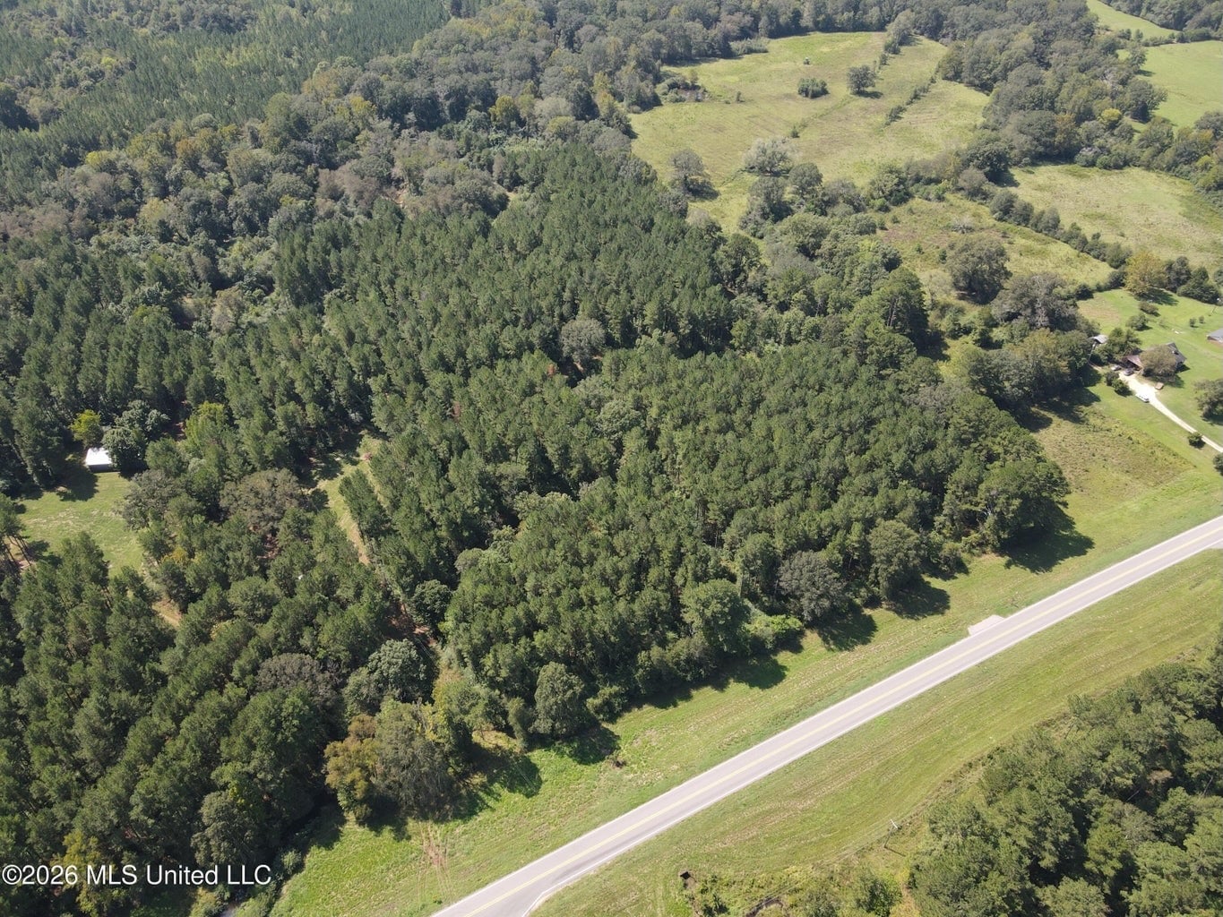 52 Acres Hunting & Timberland in Raleigh, MS