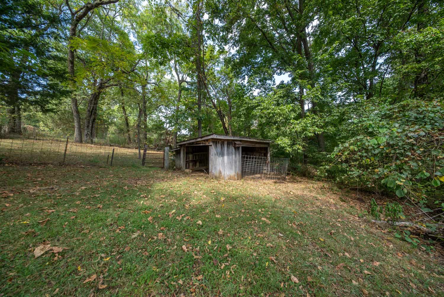 Country Home on 40 Acres for Sale in the Ozarks | Willow Springs, Missouri