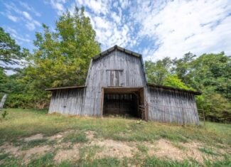 Country Home on 40 Acres for Sale in the Ozarks | Willow Springs, Missouri