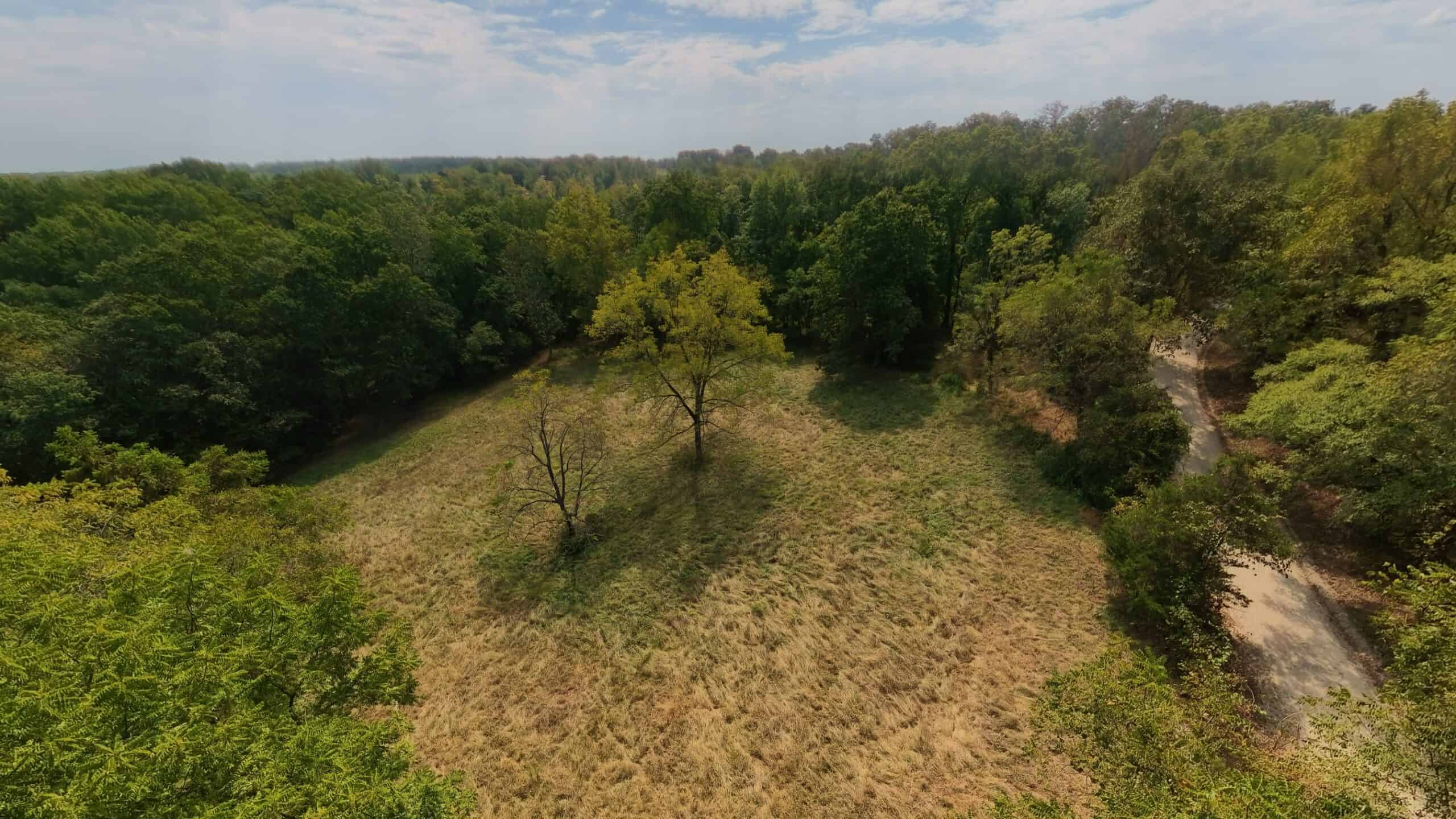 Country Home on 40 Acres for Sale in the Ozarks | Willow Springs, Missouri