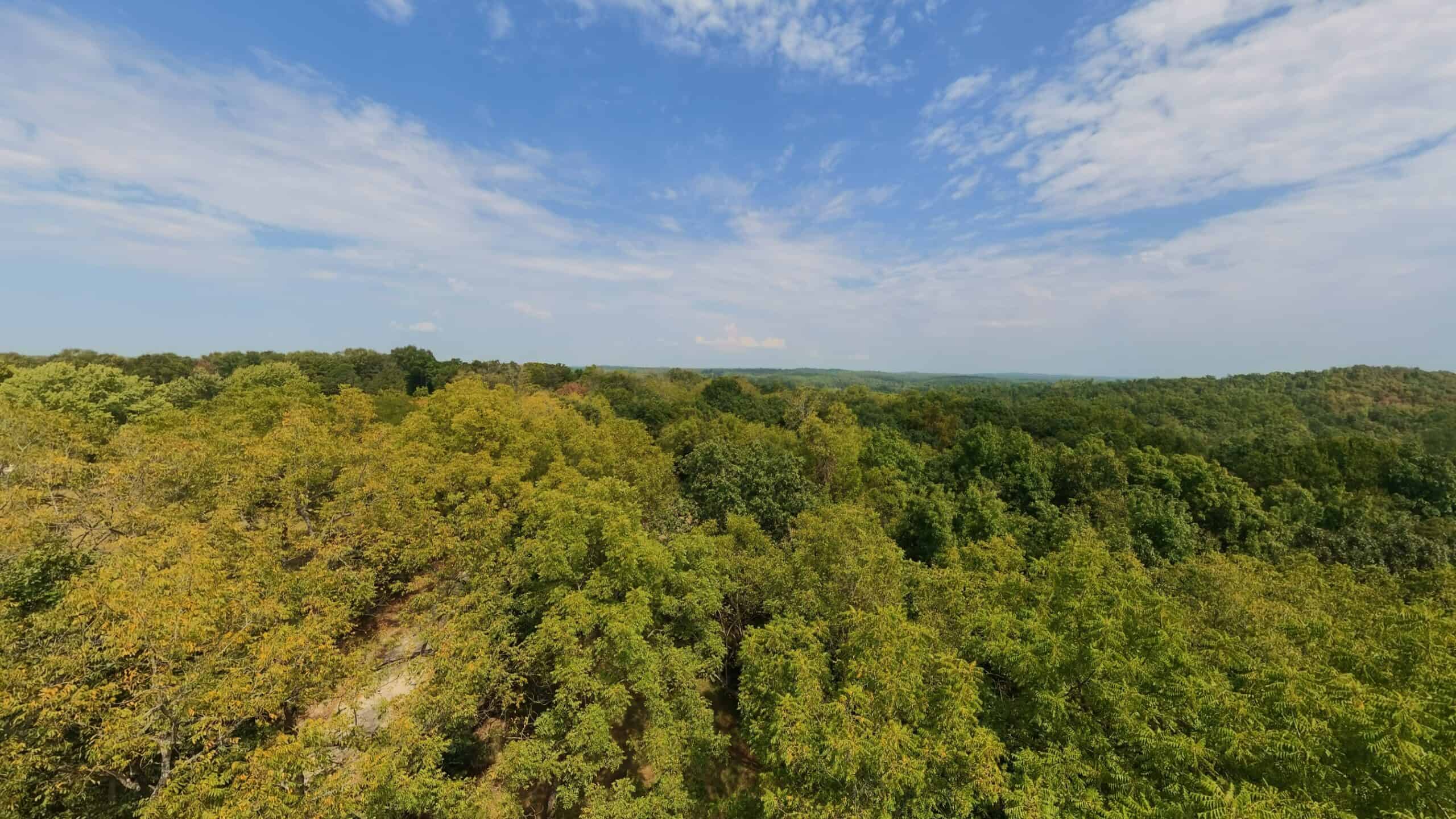 Country Home on 40 Acres for Sale in the Ozarks | Willow Springs, Missouri