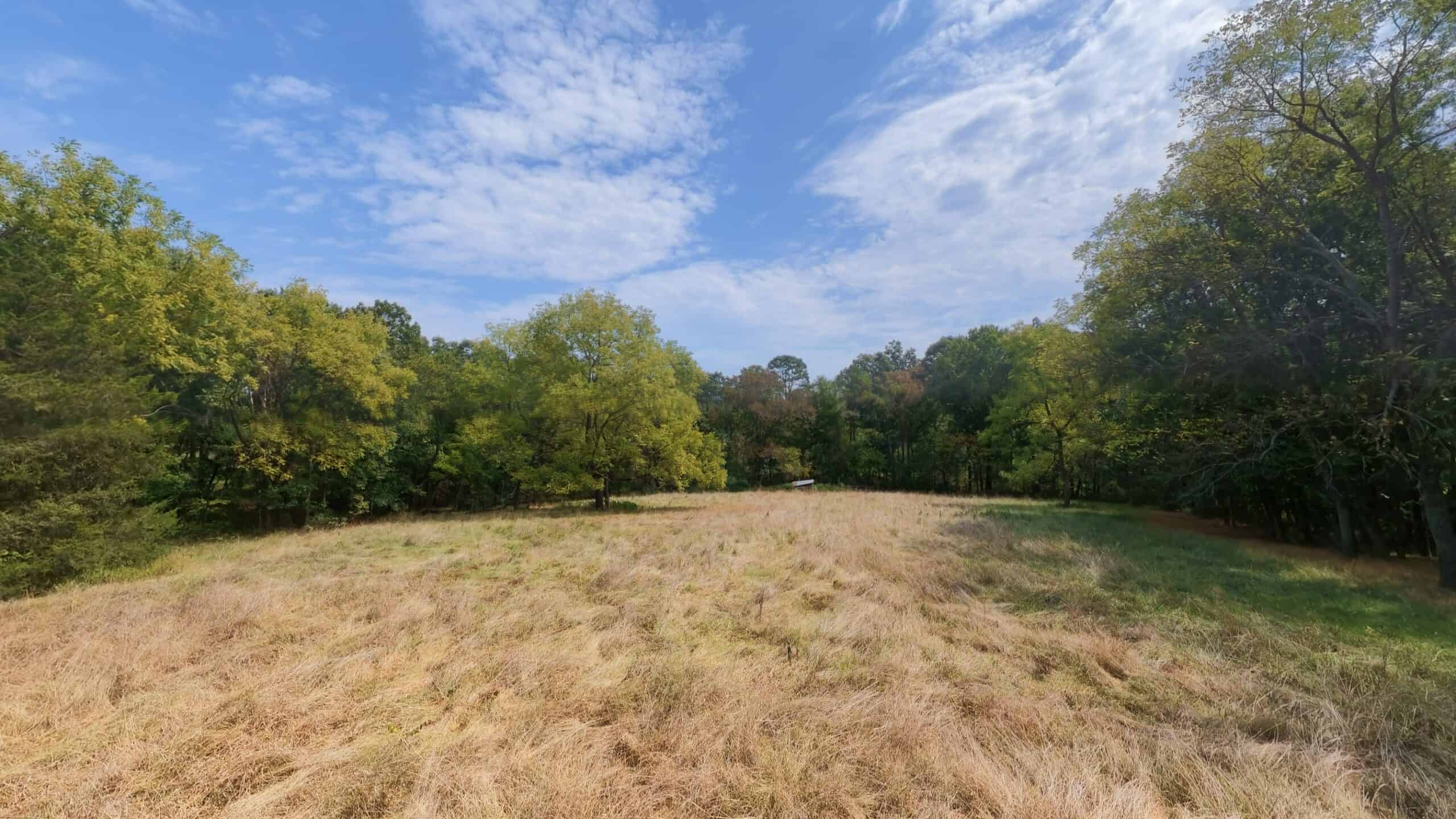 Country Home on 40 Acres for Sale in the Ozarks | Willow Springs, Missouri