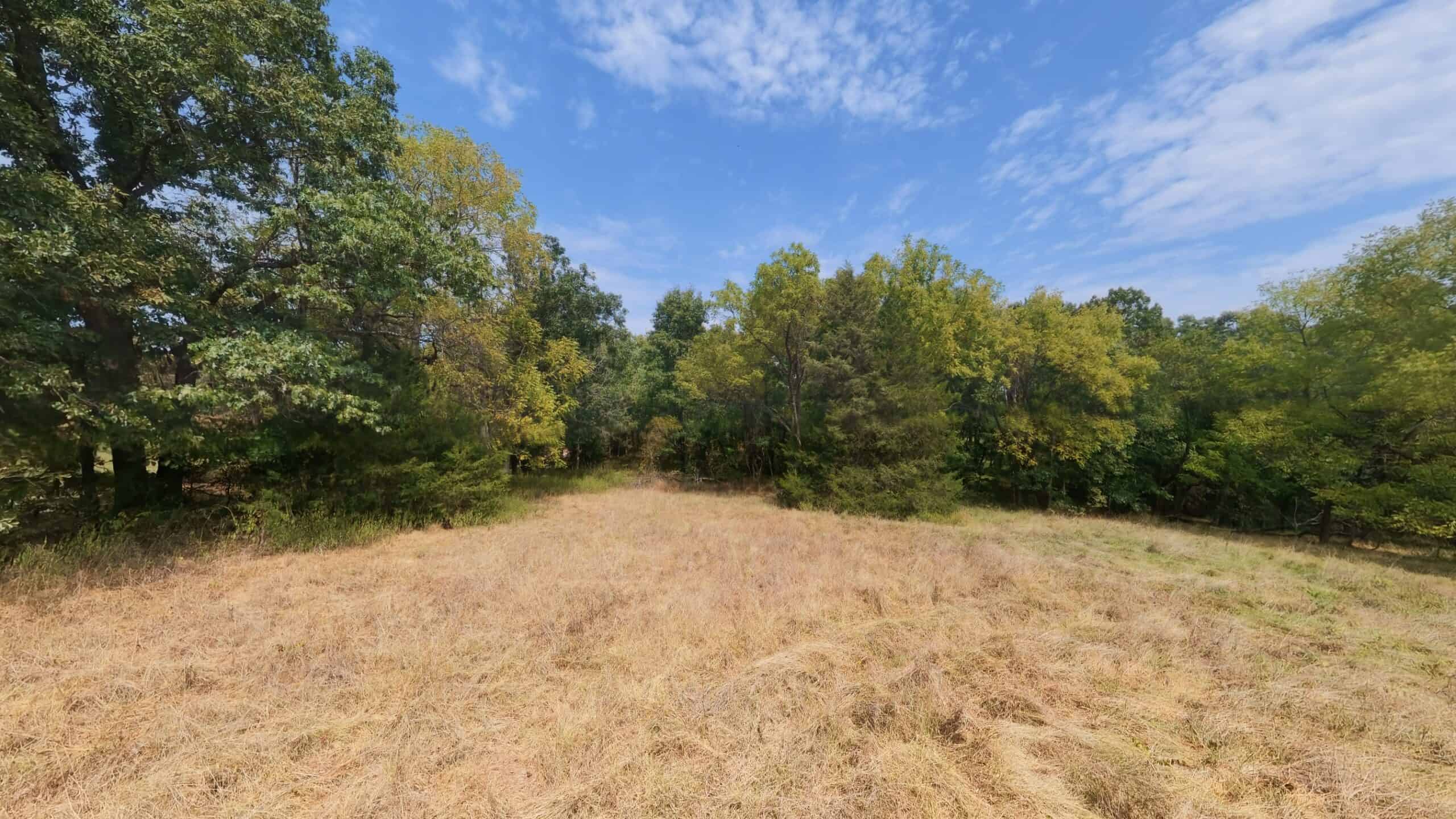 Country Home on 40 Acres for Sale in the Ozarks | Willow Springs, Missouri