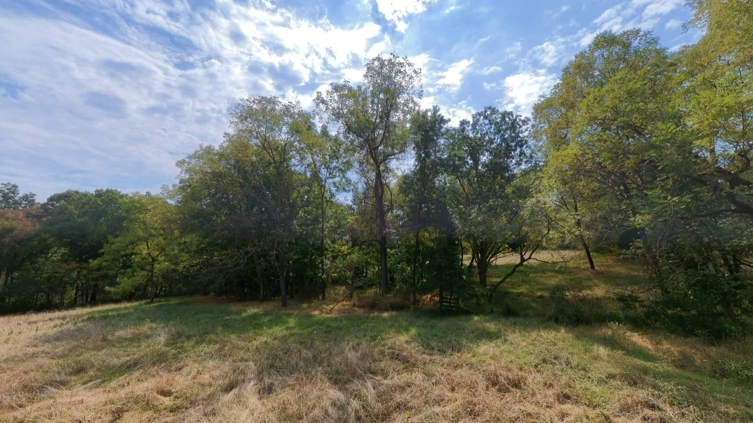Country Home on 40 Acres for Sale in the Ozarks | Willow Springs, Missouri