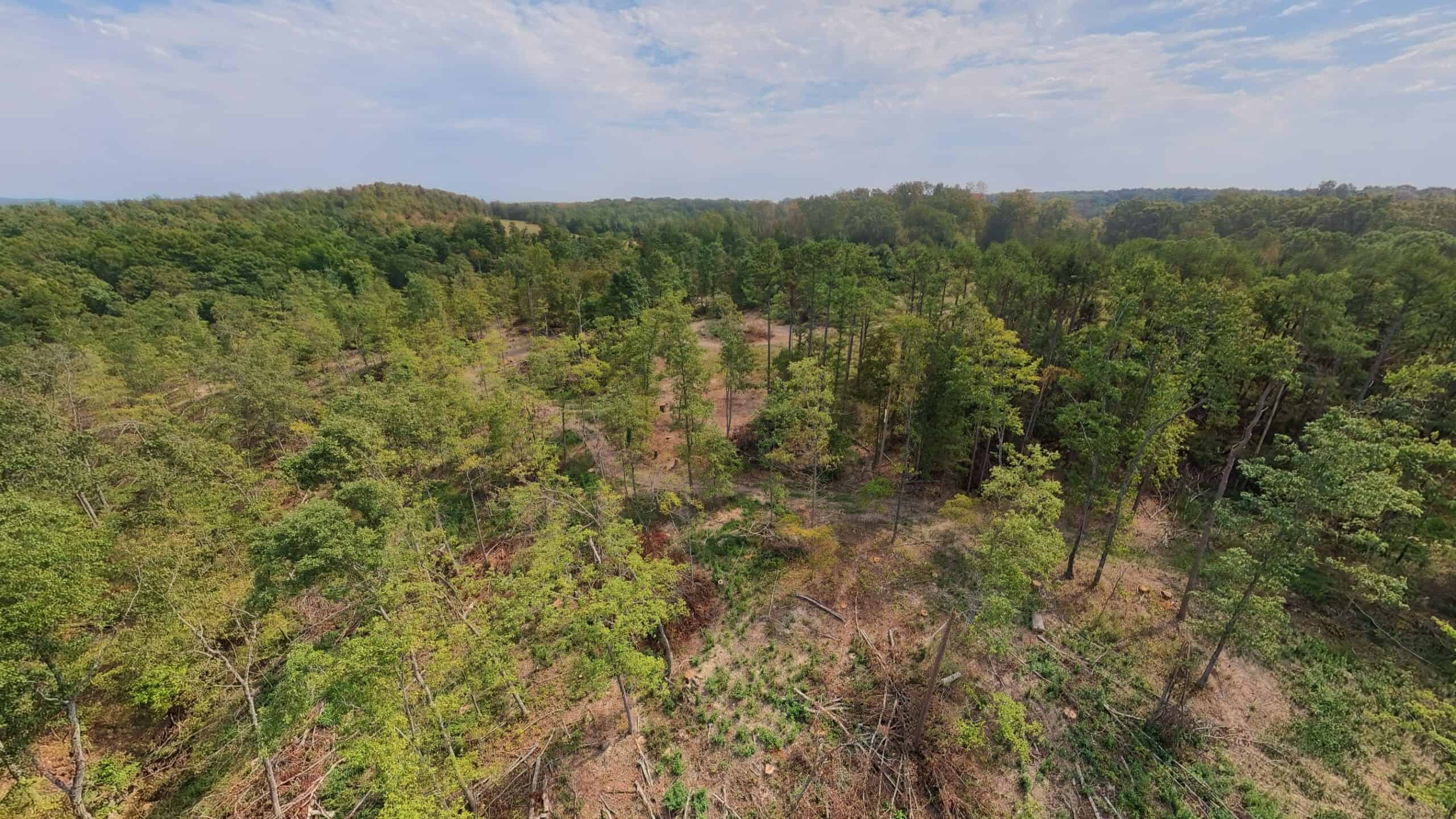 Country Home on 40 Acres for Sale in the Ozarks | Willow Springs, Missouri